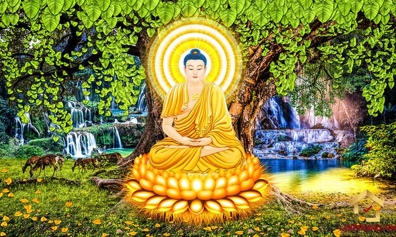 358+ Mẫu ảnh Phật, hình Phật đẹp nhất 2023 - Lôi phong