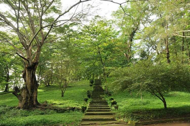 Suối Tre, một công viên du lịch sinh thái xanh rì ở Đồng Nai