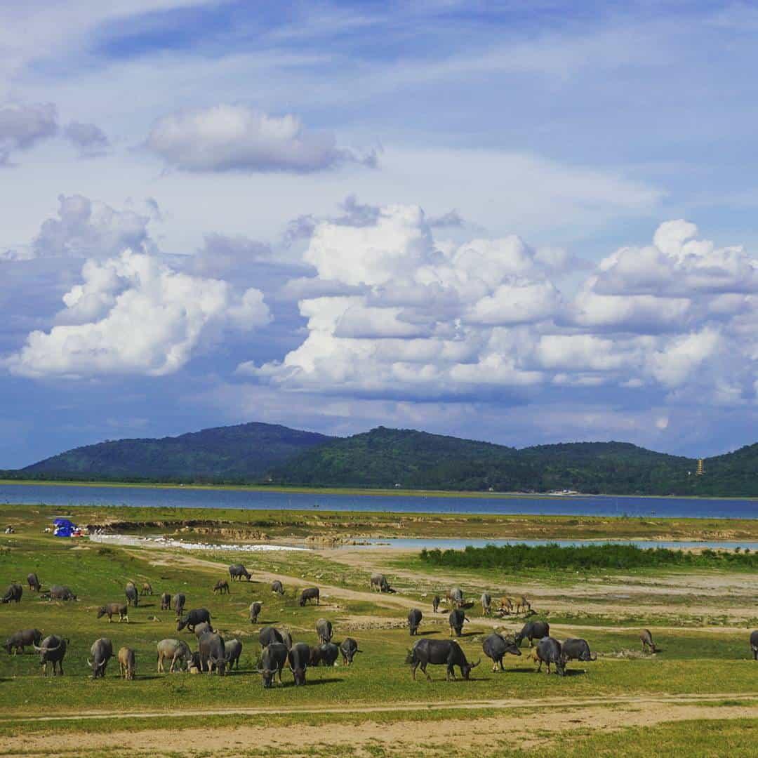 địa điểm du lịch Tây Ninh