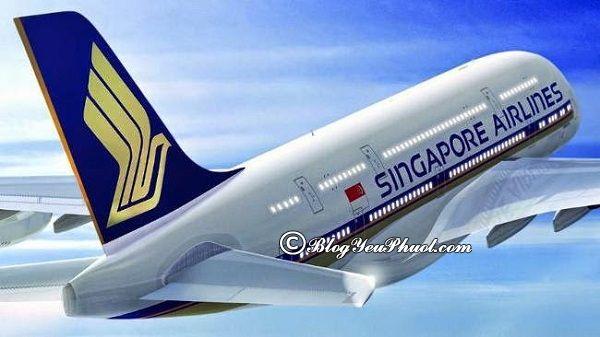 Các hãng không giá tốt có chặng bay Singapore- Việt Nam: Làm sao để săn được vé máy bay giá rẻ đi du lịch Singapore?
